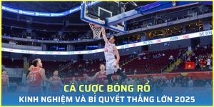 cá cược bóng rổ