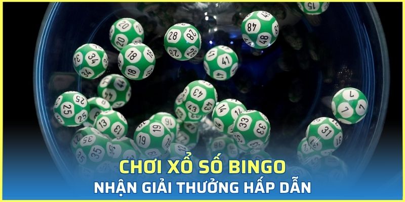 Hình thức cá cược bingo trực tuyến thu hút nhiều người chơi