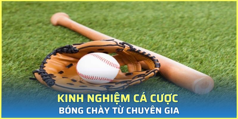 Kinh nghiệm cá cược bóng chày từ chuyên gia