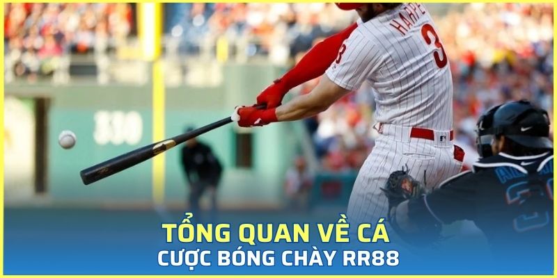 Tổng quan về cá cược bóng chày RR88