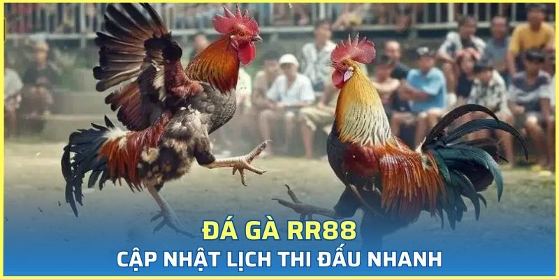 Ưu thế về thông tin lịch thi đấu cập nhật nhanh và rõ ràng